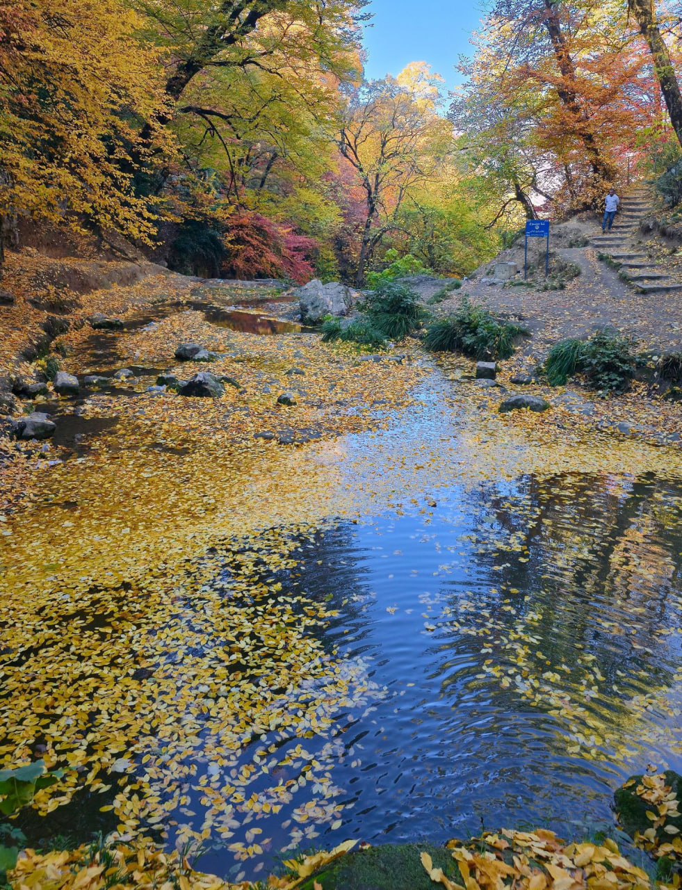  پاییز زیبای آبشار لوه استان گلستان 