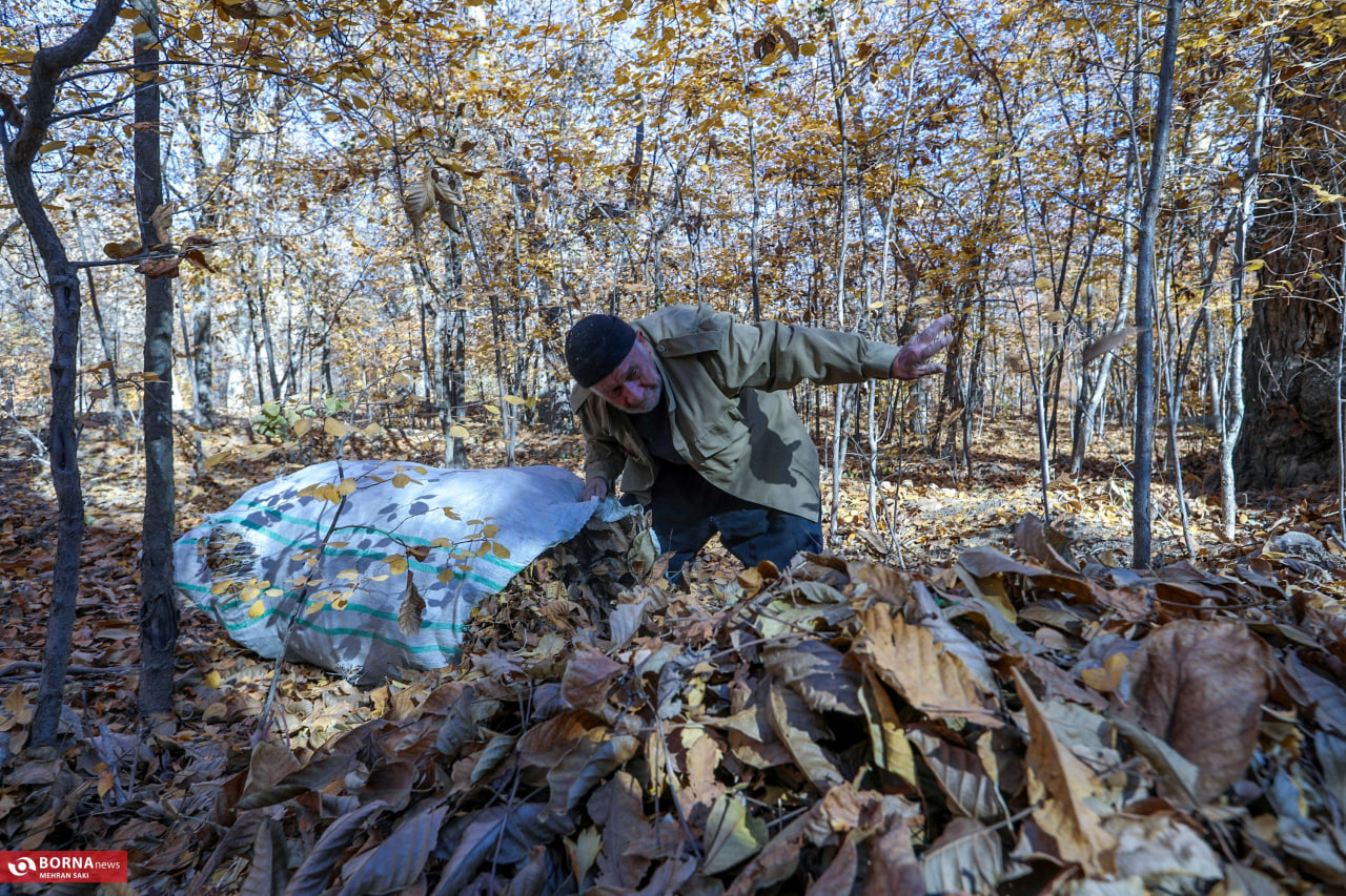 طبیعت زیبای پاییزی در روستای وفس
