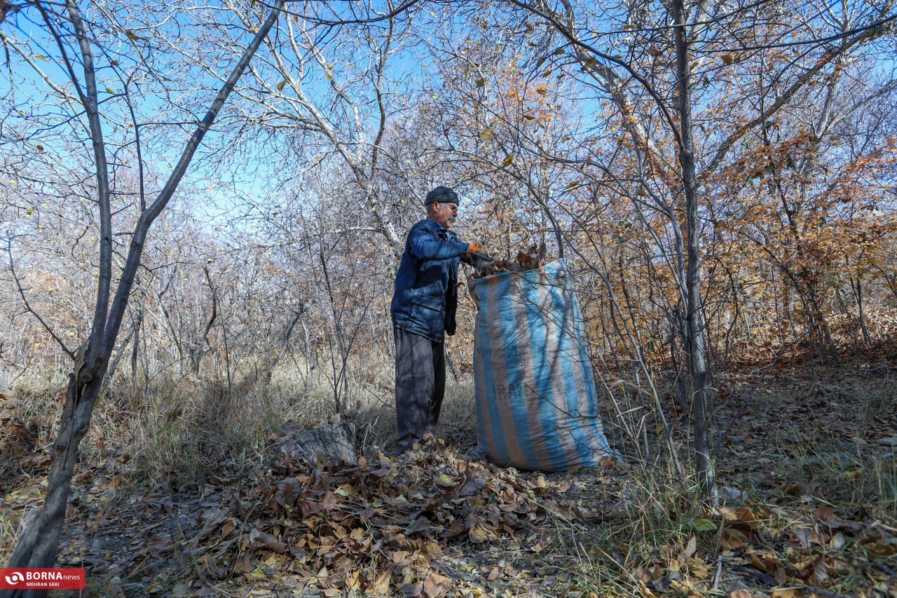 طبیعت زیبای پاییزی در روستای وفس