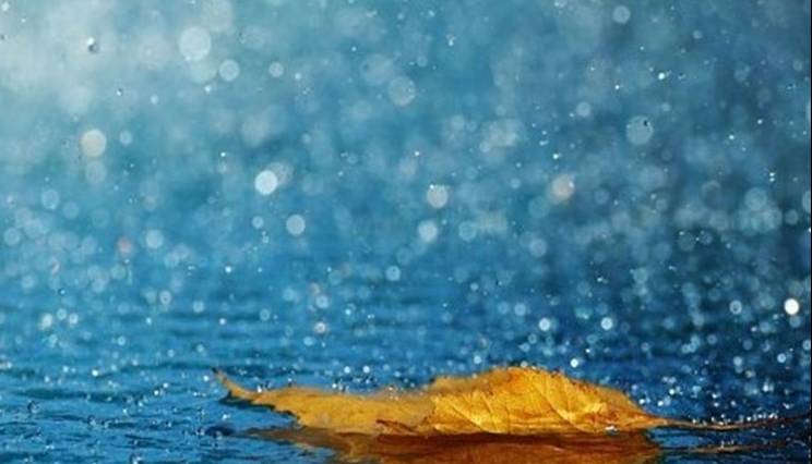 آغاز بارش باران در خراسان رضوی از هفته آینده