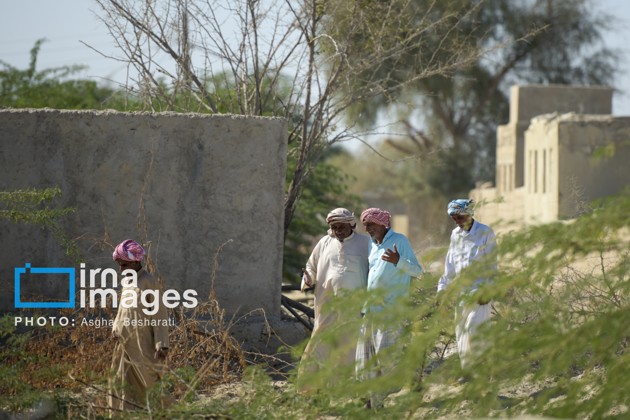 نذر خیرات در روستای گورزین