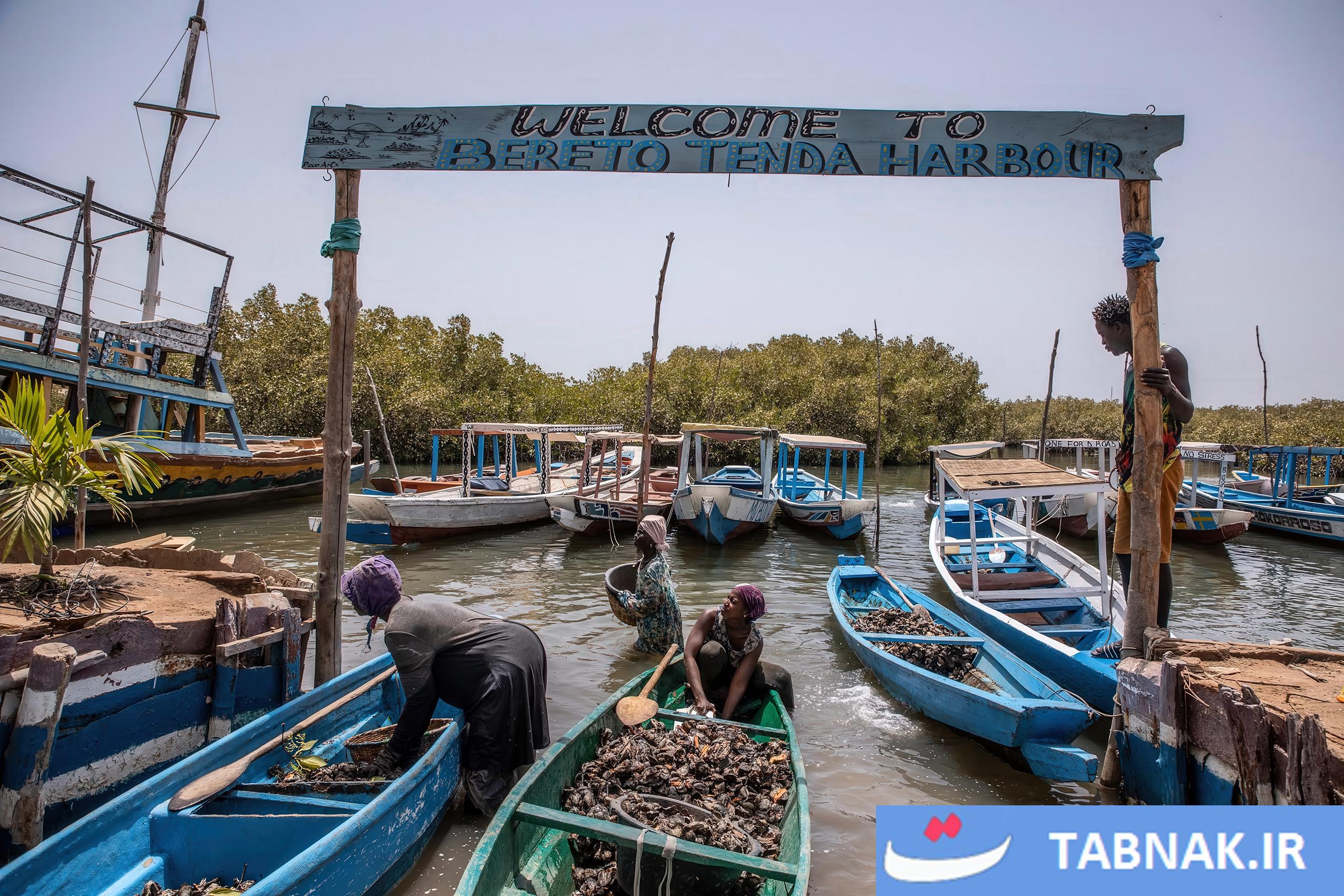 زنان در دل اقیانوس؛ داستان پرورش صدف در غنا