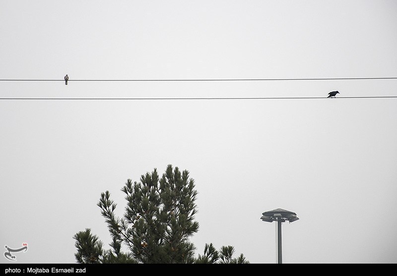 هوای قزوین سالم، آبیک ناسالم و محمدیه نامعلوم!