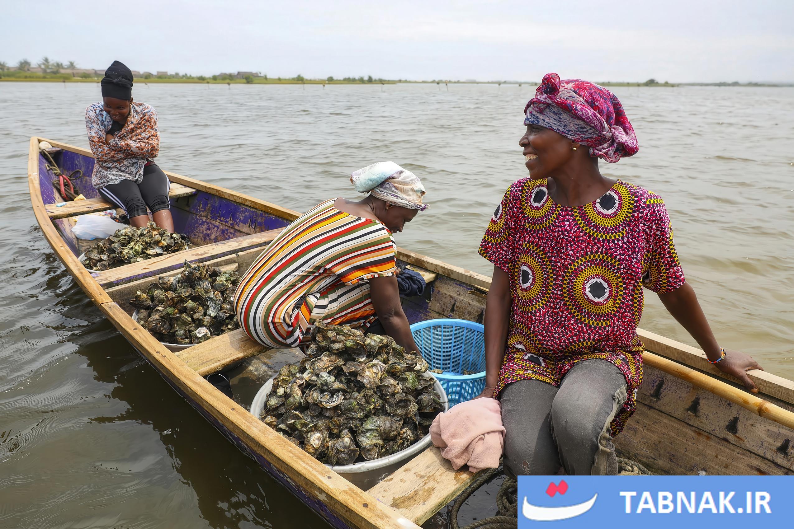 زنان در دل اقیانوس؛ داستان پرورش صدف در غنا