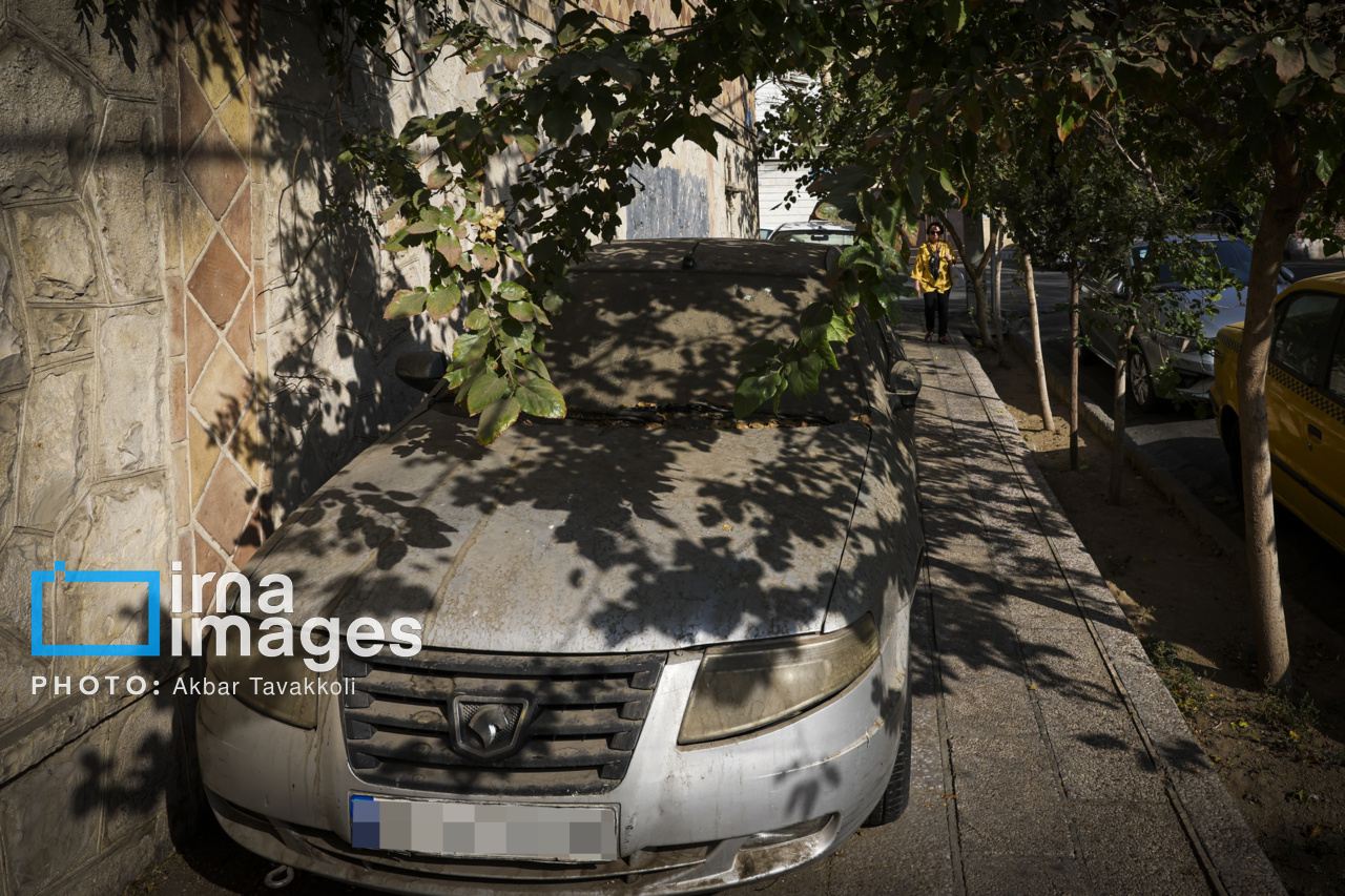 تهران؛ شهر رانندگان متخلف یا مجبور؟