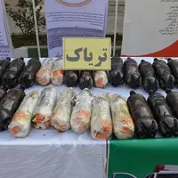 کشف 290 تن مواد مخدر از ابتدای سال