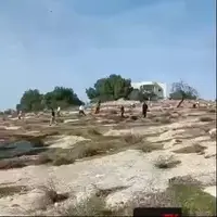 لحظه یورش شهرک‌نشینان اسرائیلی به جنوب کرانه باختری که به زخمی شدن دست کم 10 فلسطینی منجر شد