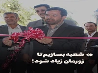 چرا بانک‌ها به شعبه‌سازی علاقه دارند؟