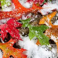 خبر خوب برای خراسانی‌ها؛ برف و باران در راه استان