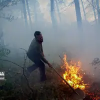 آتش‌سوزی دوباره جنگل‌های کارمزد سوادکوه مهار شد