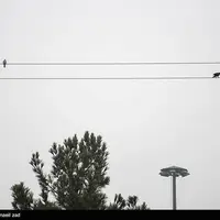 هوای قزوین سالم، آبیک ناسالم و محمدیه نامعلوم!