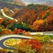 جاده های زیبای ایران