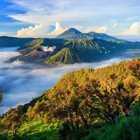 اندونزی، جزیره جاوا