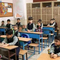 شیر مدارس گم شد