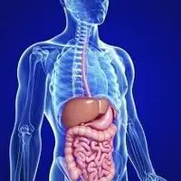 چای کوهی درمانگر گوارش