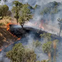 ایجاد گشت‌های مشترک برای جلوگیری از آلایندگی آتش سوزی‌ها