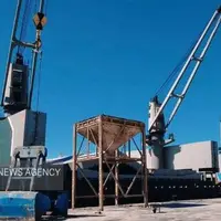 کیفیت گندم ارسالی اسلامآبادغرب به کارخانههای ماکارونی تأیید شد