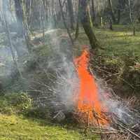 آتش‌افروز هیرکانی دستگیر شد