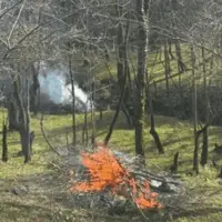آتش‌افروز جنگل‌های بندپی شرقی بابل دستگیر شد