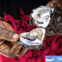 زنان در دل اقیانوس؛ داستان پرورش صدف در غنا