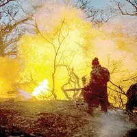 مافیای چوب پشت پرده آتش‌سوزی؟