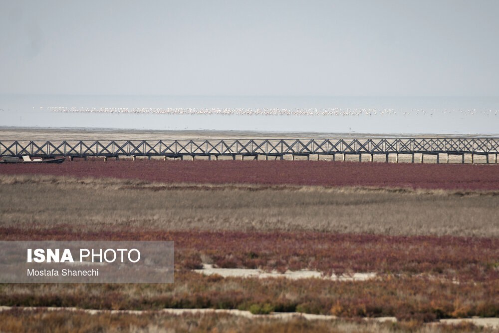 عکس/ آخرین نفسهای بزرگترین خلیج خزر