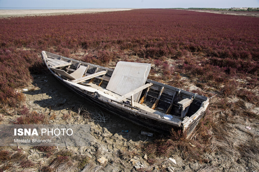 عکس/ آخرین نفسهای بزرگترین خلیج خزر