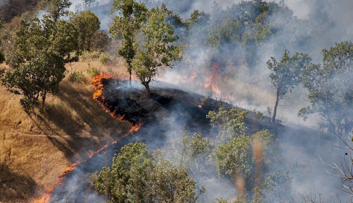 ایجاد گشت‌های مشترک برای جلوگیری از آلایندگی آتش سوزی‌ها
