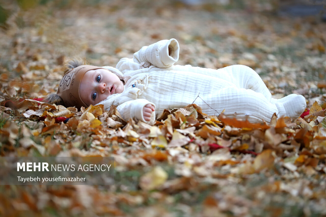 جشنواره برگریزان هگمتانه در همدان
