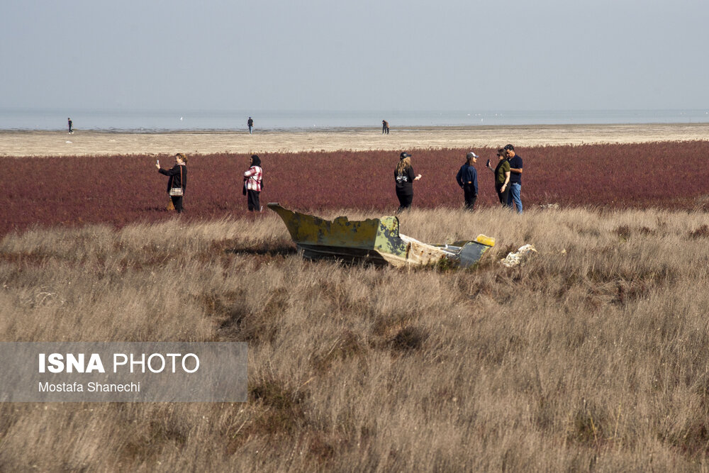 عکس/ آخرین نفسهای بزرگترین خلیج خزر