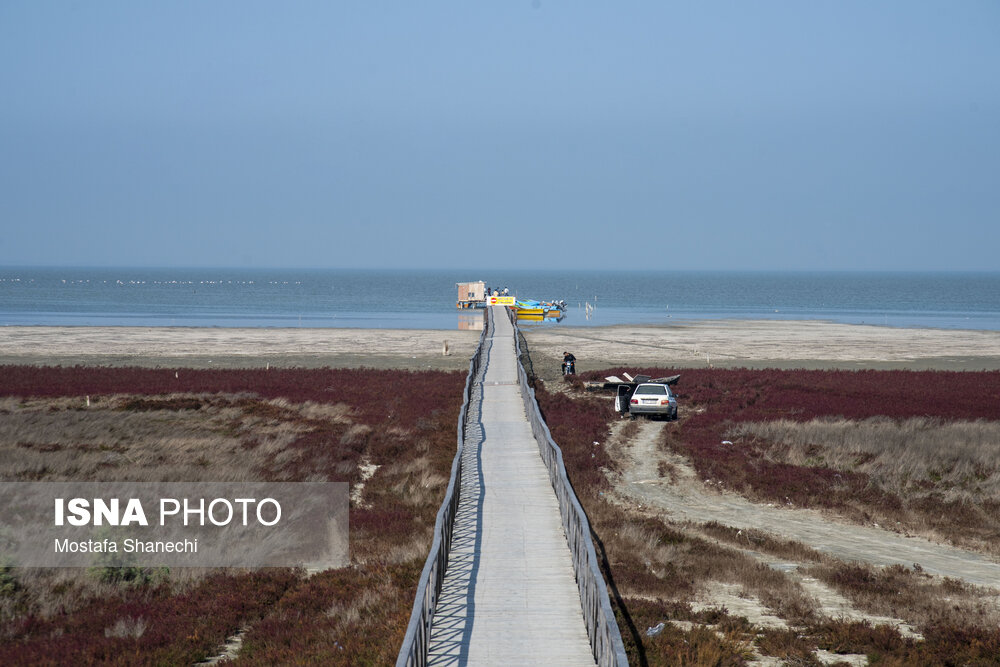 عکس/ آخرین نفس‌های بزرگ‌ترین خلیج خزر