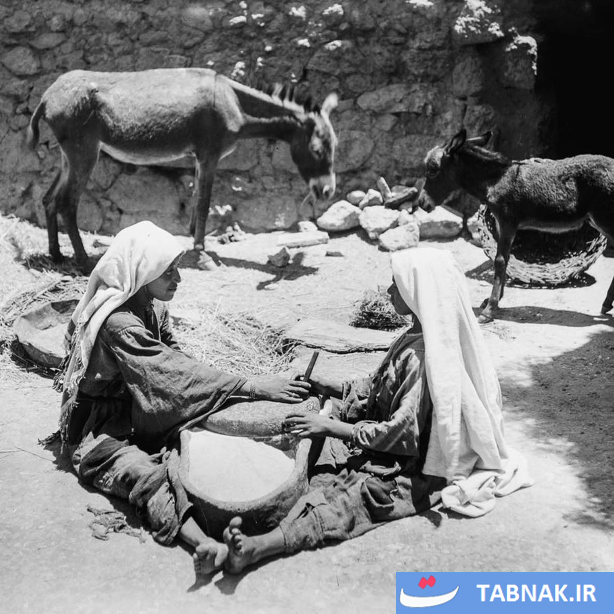 پنجره‌ای به گذشته؛ زندگی عشایر عرب در سال ۱۸۹۸