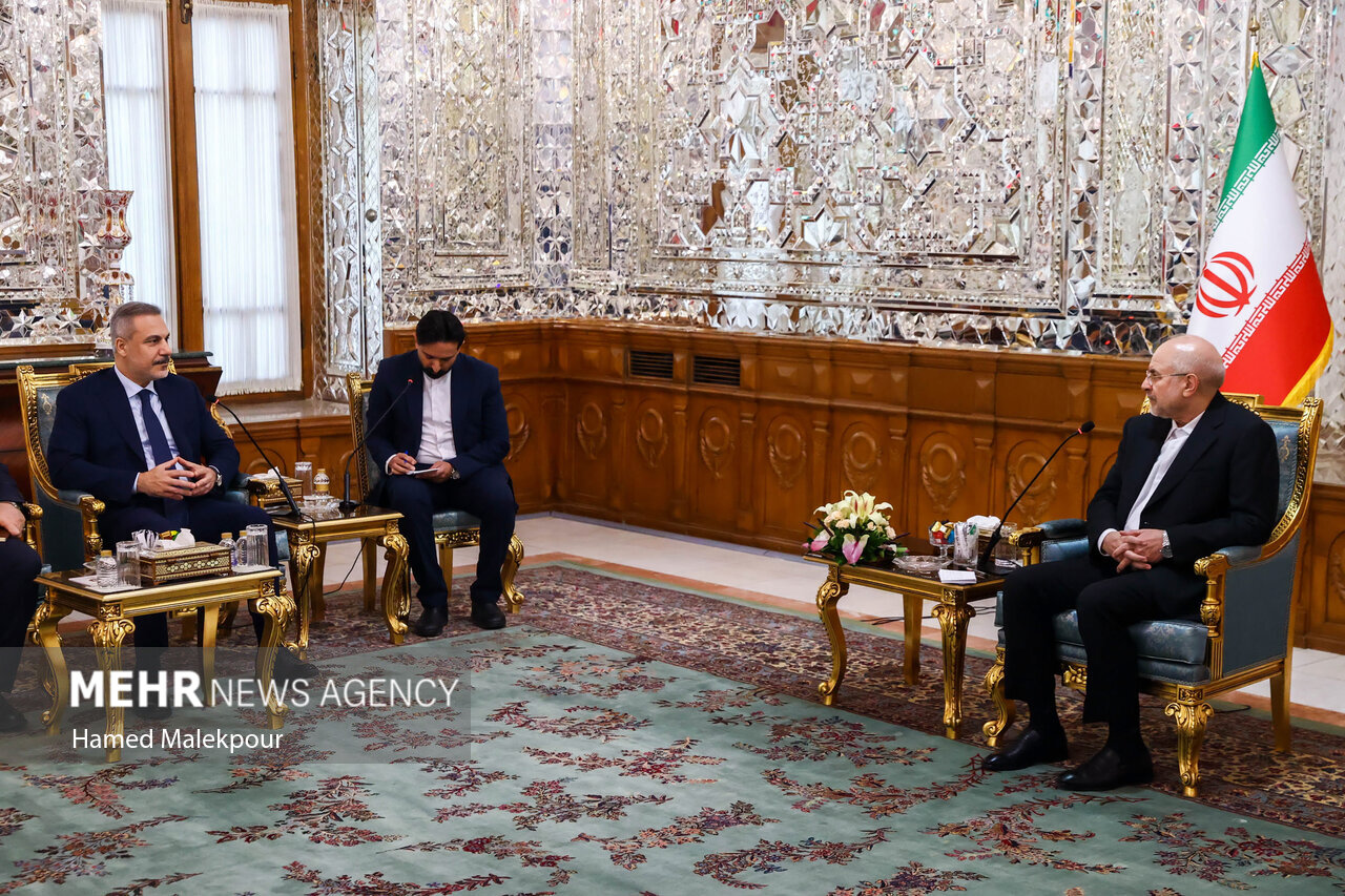 عکس/ دیدار وزیر امور خارجه ترکیه با رئیس مجلس شورای اسلامی