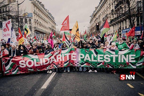 تظاهرات حمایت از فلسطین در فرانسه، ژاپن و پرو