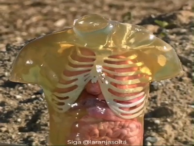 شبیه سازی برخورد یک گلوله تفنگ کالیبر 50 به سینه انسان!