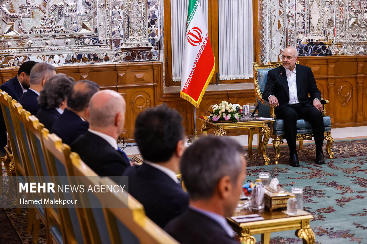 عکس/ دیدار وزیر امور خارجه ترکیه با رئیس مجلس شورای اسلامی