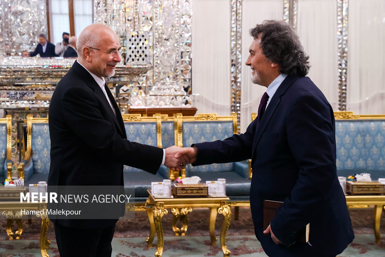 عکس/ دیدار وزیر امور خارجه ترکیه با رئیس مجلس شورای اسلامی
