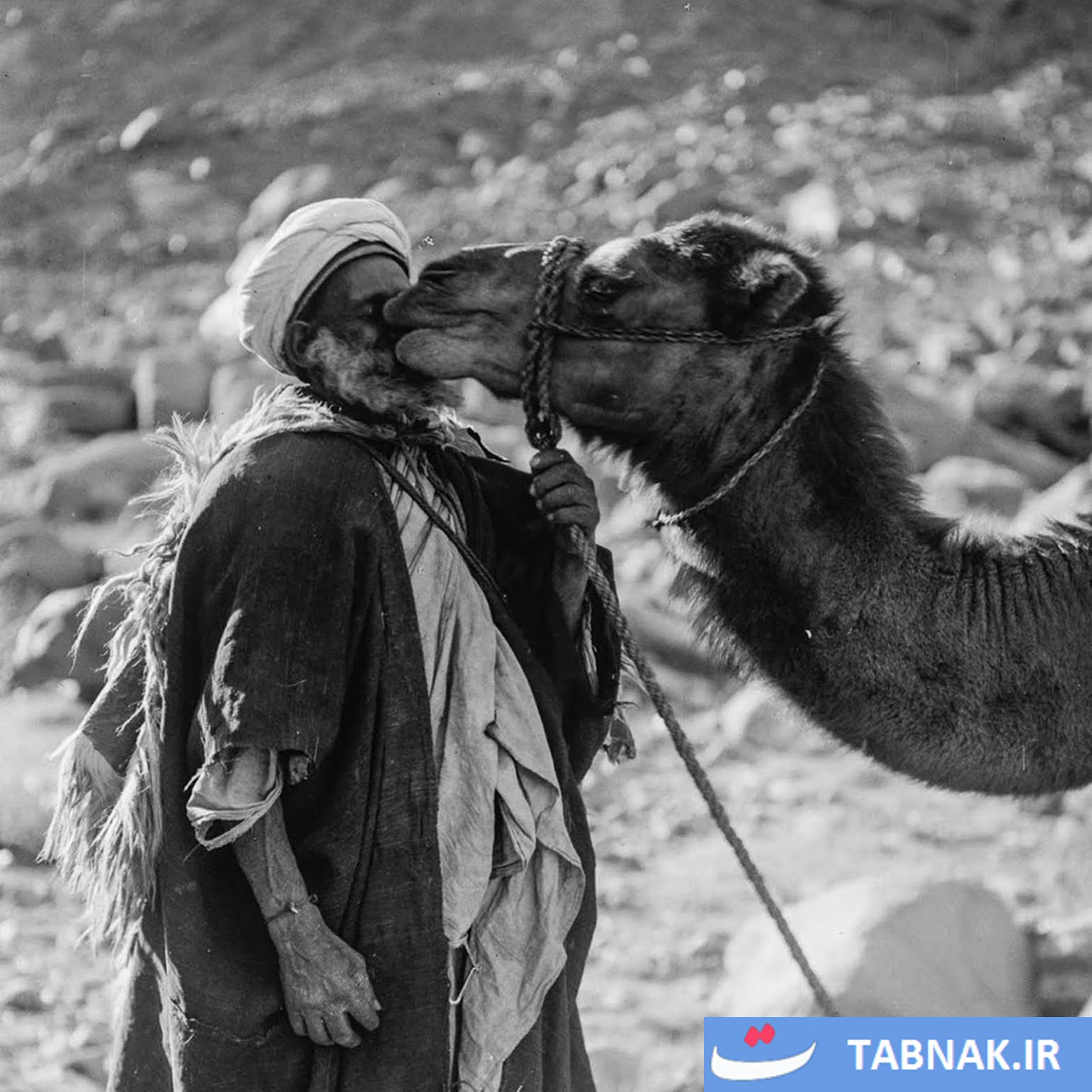 پنجره‌ای به گذشته؛ زندگی عشایر عرب در سال ۱۸۹۸