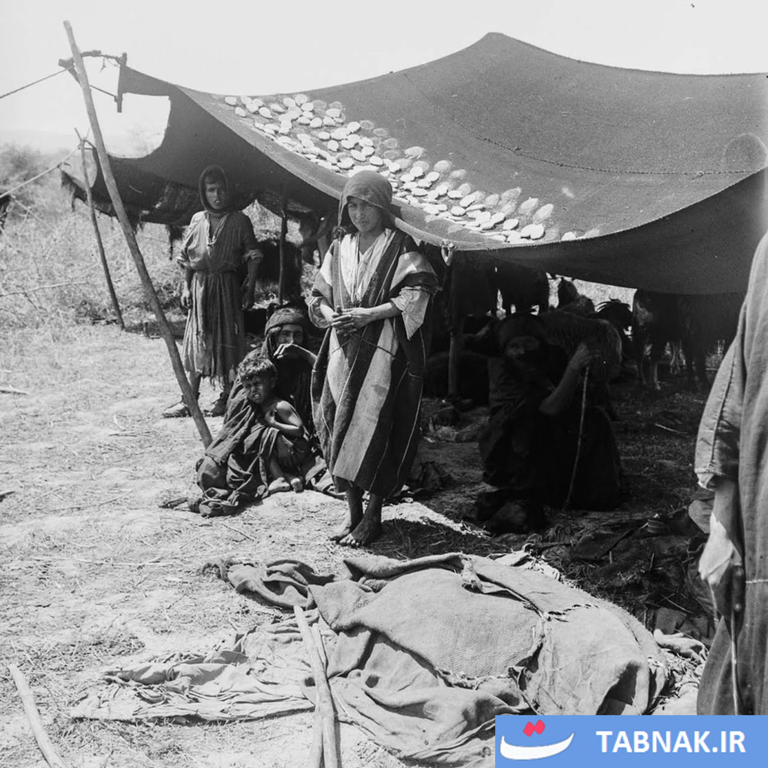 پنجره‌ای به گذشته؛ زندگی عشایر عرب در سال ۱۸۹۸