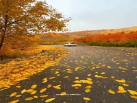 زیبایی پاییز در جاده‌های کردستان 