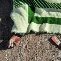 تصادف مرگبار در بزرگراه؛ ترس از سگ، جان عابرپیاده را گرفت