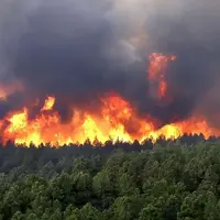 آتش‌افروزان واقعی جنگل‌های هیرکانی چه کسانی هستند؟