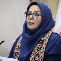 رئیس مرکز ملی فرش ایران: آذربایجان غربی می‌تواند پرچمدار فرش دست‌باف کشور باشد