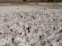 قصه سد فریمان به پایان رسید