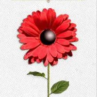 طرح/ دوری از ستمکاران 