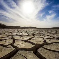 ۷۰ روز خشکی مطلق در بوشهر؛ توصیه‌هایی برای کشت در سال آبی جدید