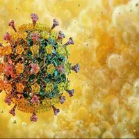 مقاومت آنفلوانزای پرندگان در برابر تب، دانشمندان را نگران کرد