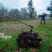 ۱۱۹ پرونده قضایی مرتبط با قاچاق چوب در اردبیل تشکیل شد