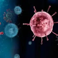 آنفلوآنزا در صدر عفونت‌های تنفسی؛ ابتلا در این ۷ استان بیشتر است