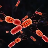 شیوع خاموش یک تهدید باستانی: سویه خطرناک حصبه در حال تسخیر جهان است